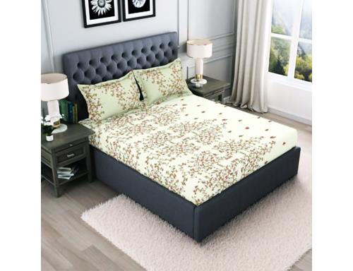 Welspun Expressions Double Bedsheet Set